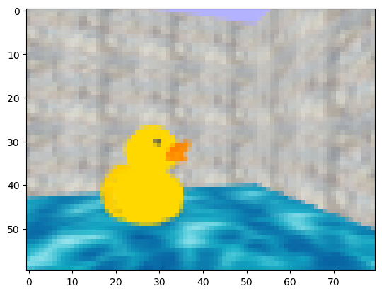 03 — Duck RGB Observation